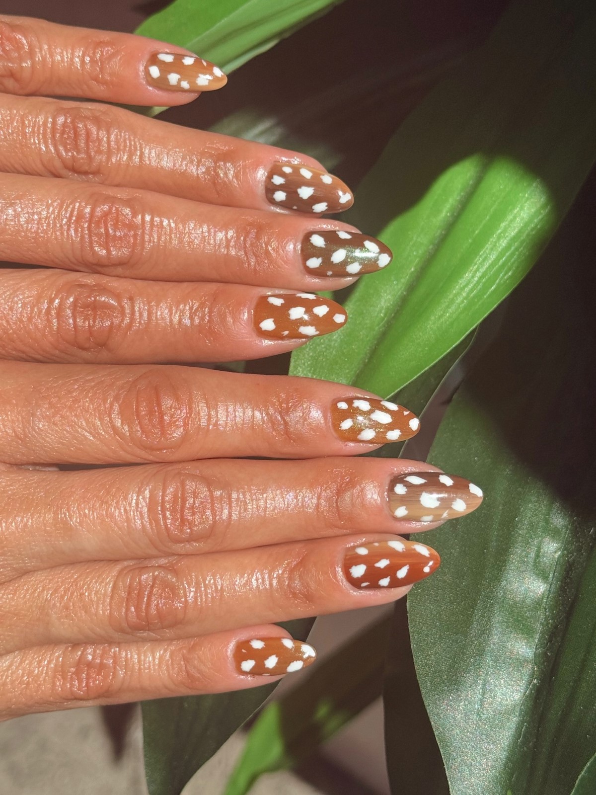 Анімал-принт на нігтях у сезоні 2026: як вибрати трендовий дизайн