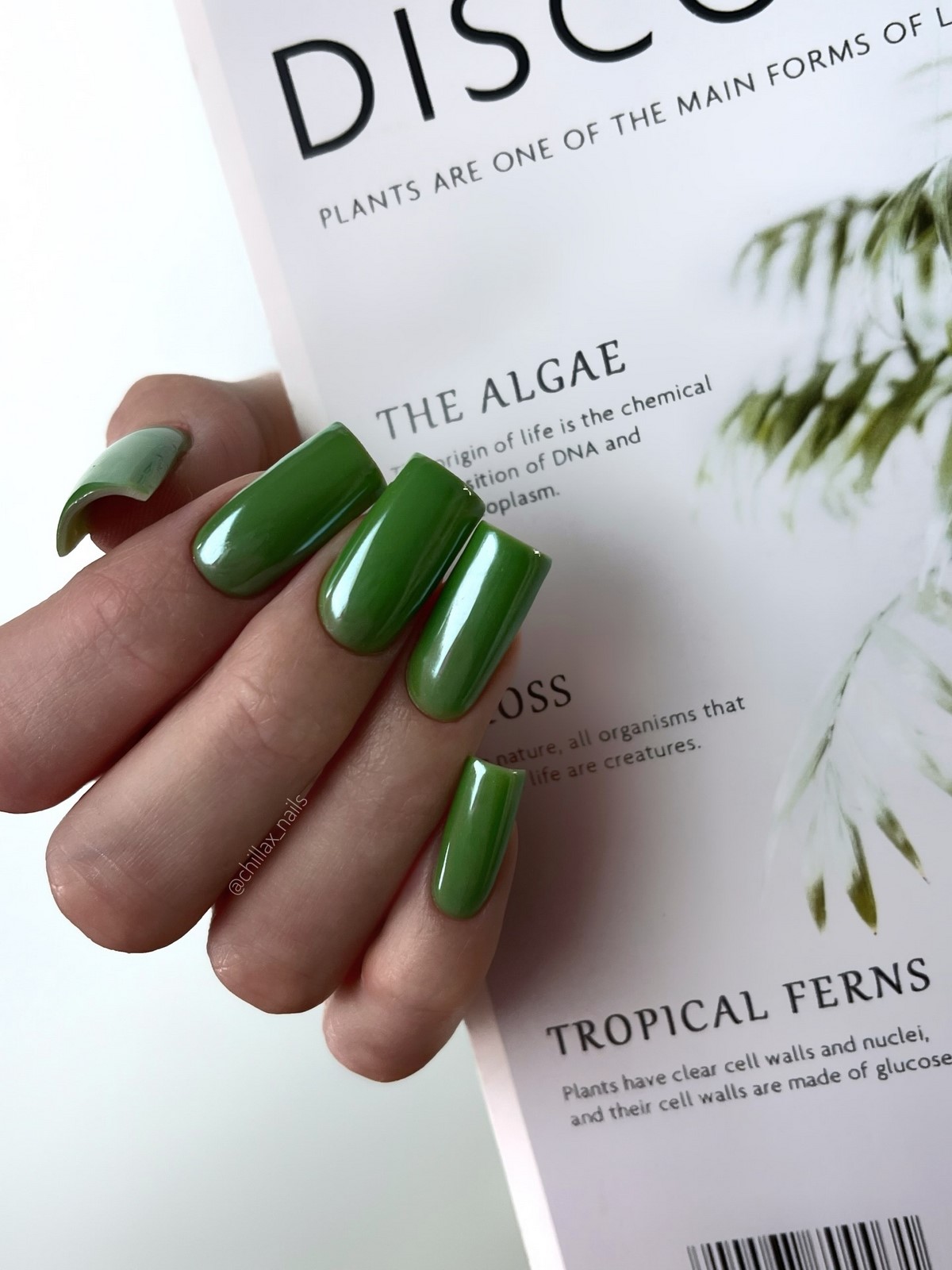 Довгий квадрат у лютому 2026: манікюр, який задає стиль