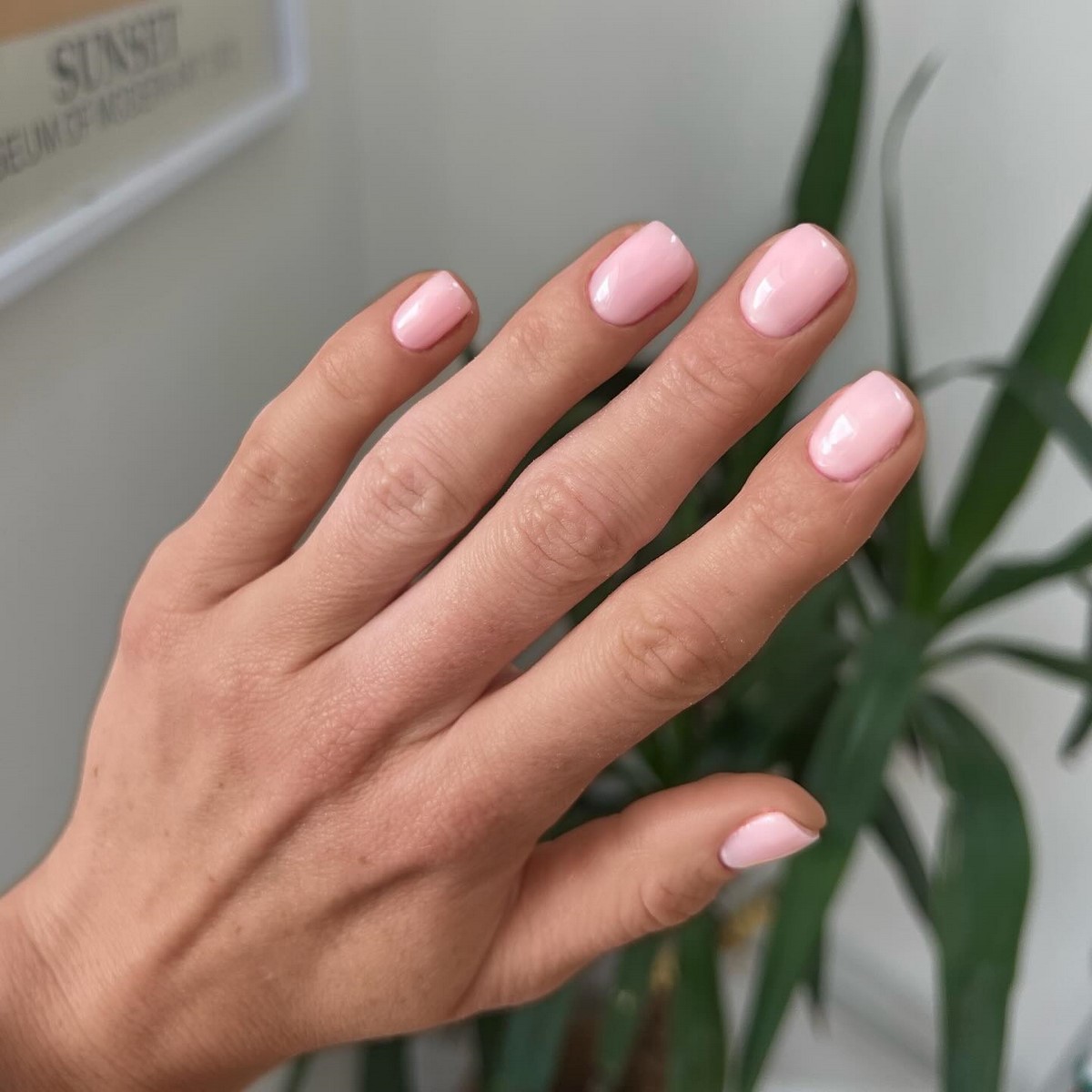 Молочний манікюр на короткі нігті квітня: ідеї чистої краси